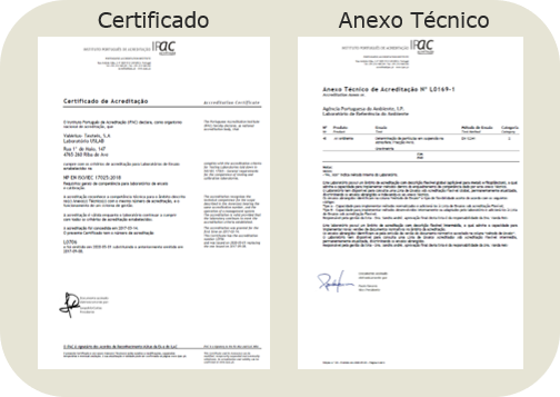 Certificado e Anexo